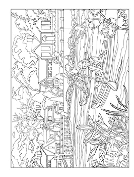 Amazon.com: Creative Haven Autumn Inspirations Color by